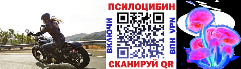 Галлюциногенные грибы прущие грибы  Купить где  Туринск 